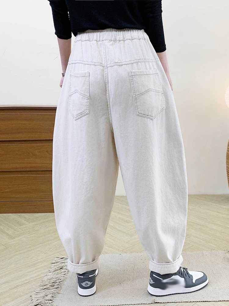 Amax LuluE Autumn Korean Women Loose Luxury Vintage Trousers 2025 Fashion Ladies Classic Leisure Solid Elastic Waist Harem Pants
