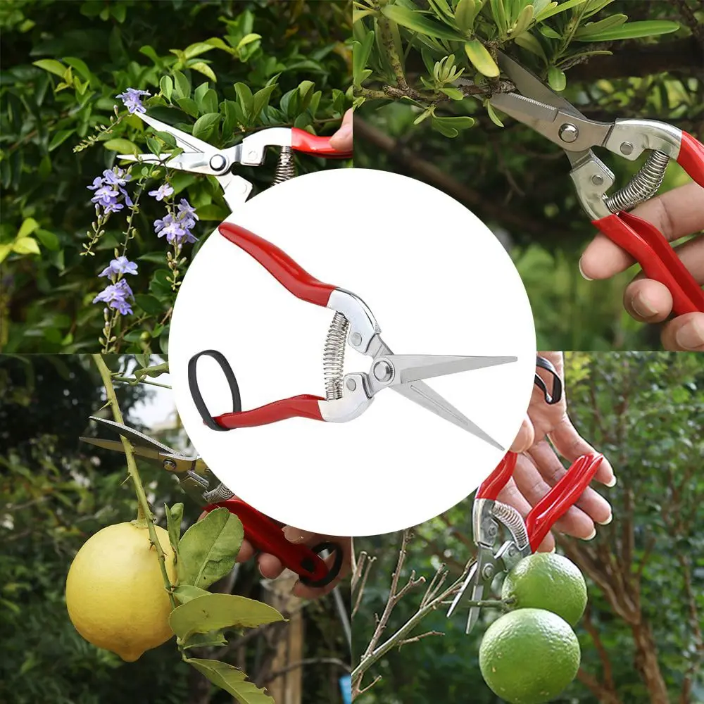 Stainless Steel Orchard Garden Leaf Trimmer Pruning Shear Garden Scissors Gardening Hand Pruner Micro-Tip Snips