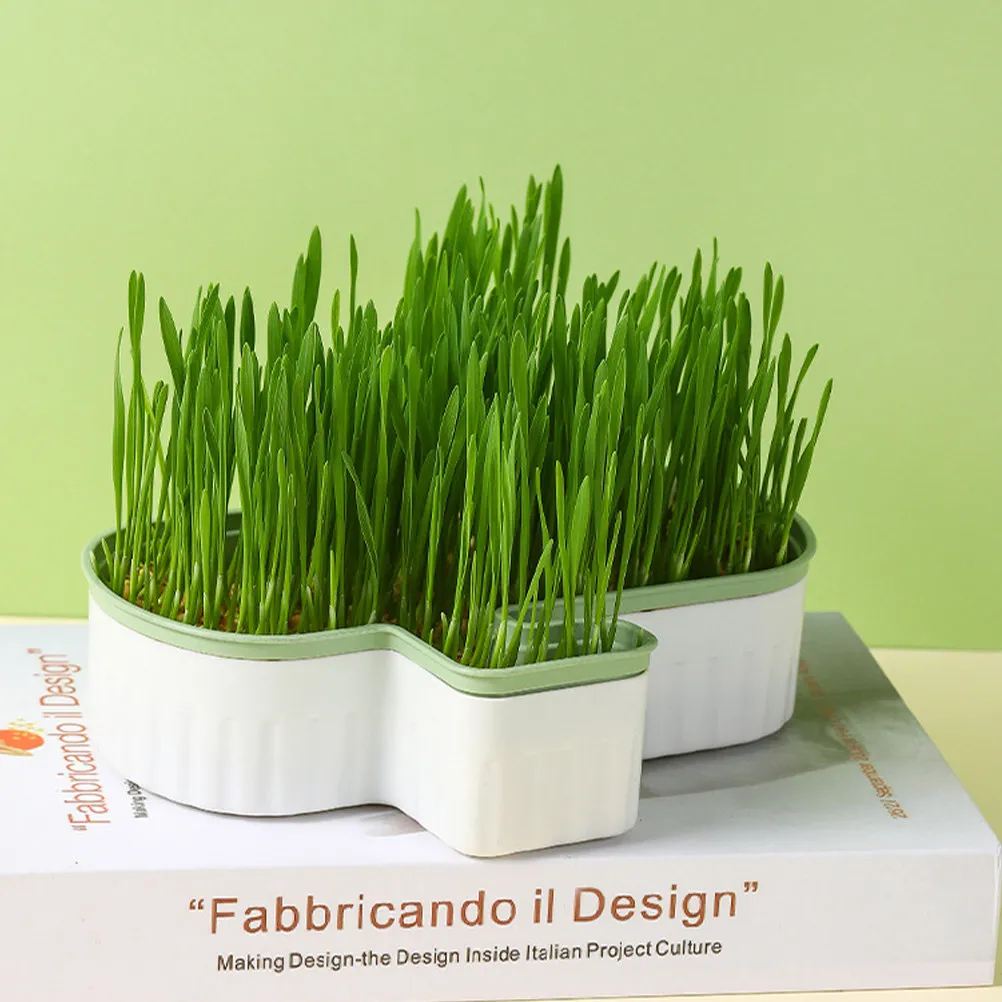 2Pcs Cat Grass Planting Box Soilless Nursery Household Hydroponic Cat Plant Pot Convenient Breathable Box for Home Gardening