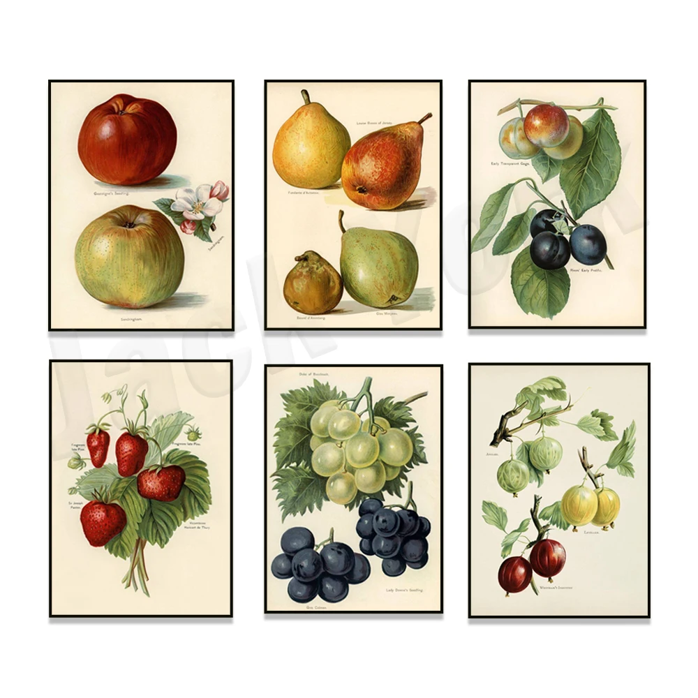 Fruit Kitchen Poster Vintage Poster Antique Canvas Print Pear Apple Strawberry Grape Wall Art Decor Picture Canvas Painting