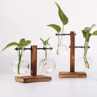 Hydroponic Plant Terrarium Vasevase Decoration Home Glass Bottle Hydroponic Desktop Decoration Office Green Plant Small Potted