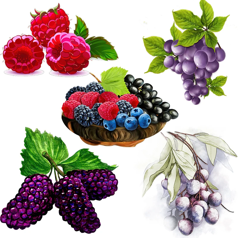 Three Ratels CO67 Fresh blueberry raspberry fruit stickers PVC waterproof self-adhesive kitchen decorative decals