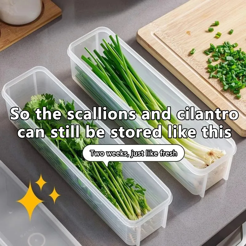 

Cilantro and Scallion Storage Box Kitchen Refrigerator with Lid Fresh Storage Container Vegetable Preservation Container