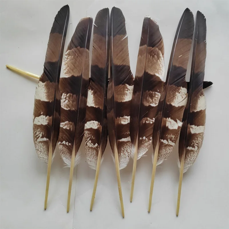 10Pcs/Lot Natural Eagle Feathers for Crafts Plume Headdress Accessories Holiday Decoration Carnival Feather DIY Handicraft Decor