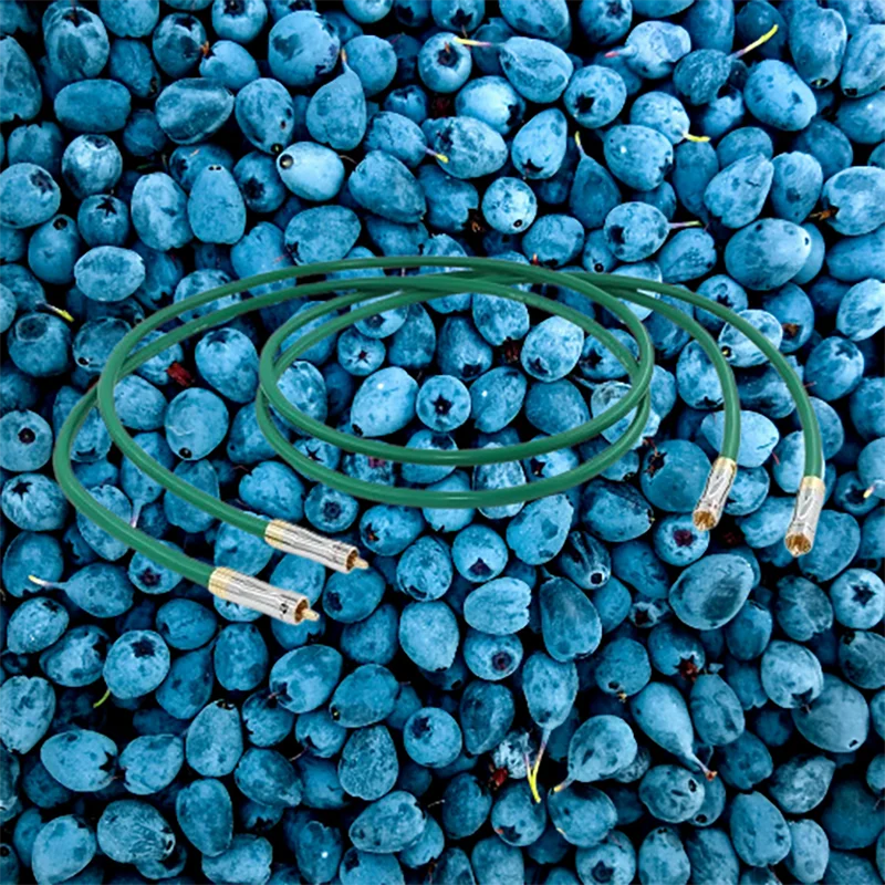 

Премиальный медный кабель HiFi RCA 5N — McIntosh 2328 для аудиофильских систем ​