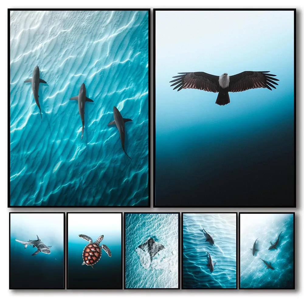 1pc frameless Blue Ocean Canvas Eagles Shark Angle Poster Sea Turtle Decor Wall Art for Room Home Decor Murals