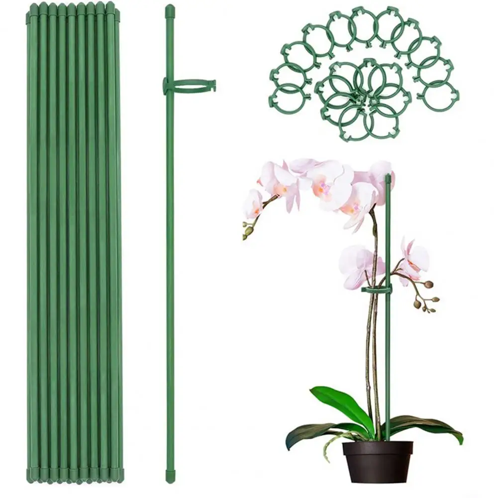 

6Pcs/12pcs Plant Support Stakes With Rings Floral Arrangements Growing Vegetables Green Plant Support Sticks Garden Supplies