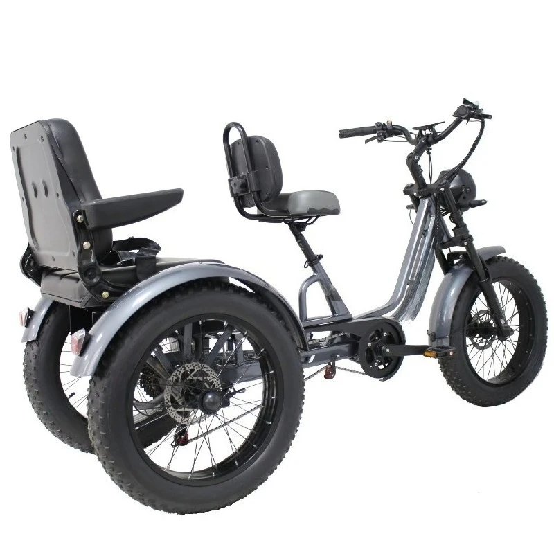 Factory Wholesale Customized 20-InchTire Electric Assisted Three-Wheeled Open Double-Person Mobility Tricycle 30-50km Range
