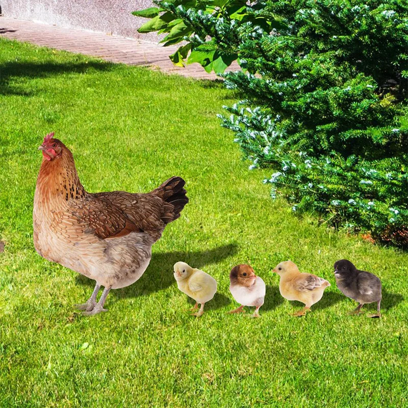 

5Pcs Acrylic Chicken Garden Stakes Double-sided Printing Realistic Hen Chick Stake Sign Art Crafts Christmas Gifts for Backyard