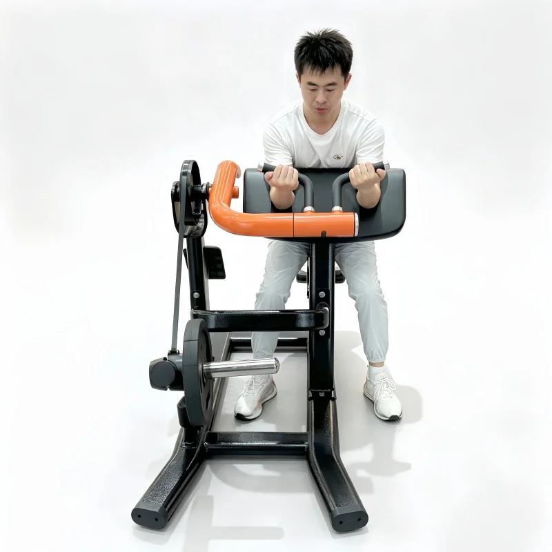 Gym Equipment Arm Curl Biceps Fitness Equipment Exercise Strength Training Seated Biceps Curl Machine