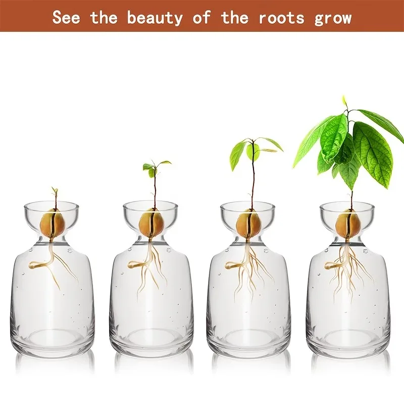 Two-piece Avocado Seed Starter Vase - Grow Your Own Avocado Tree Unique Glass Planting Pot for Gardening Lovers Start Your Green