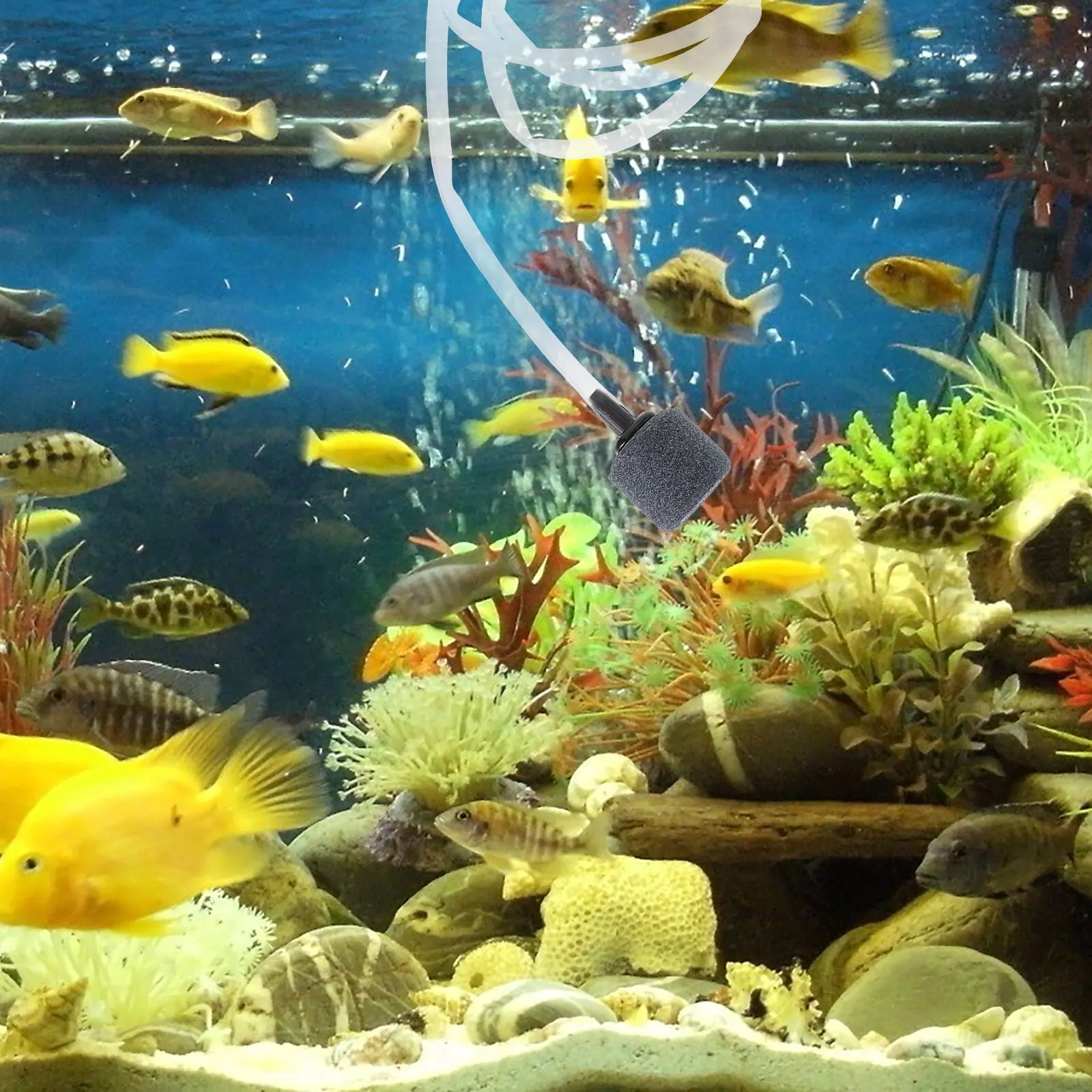 

Oxygen Pump Fish Tank Small Aquarium Water Accessories for Usb