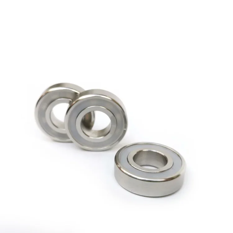 Corrosion resistant 316L stainless steel bearing S6000 6001 6002 6003 6004 6005 6006 6007