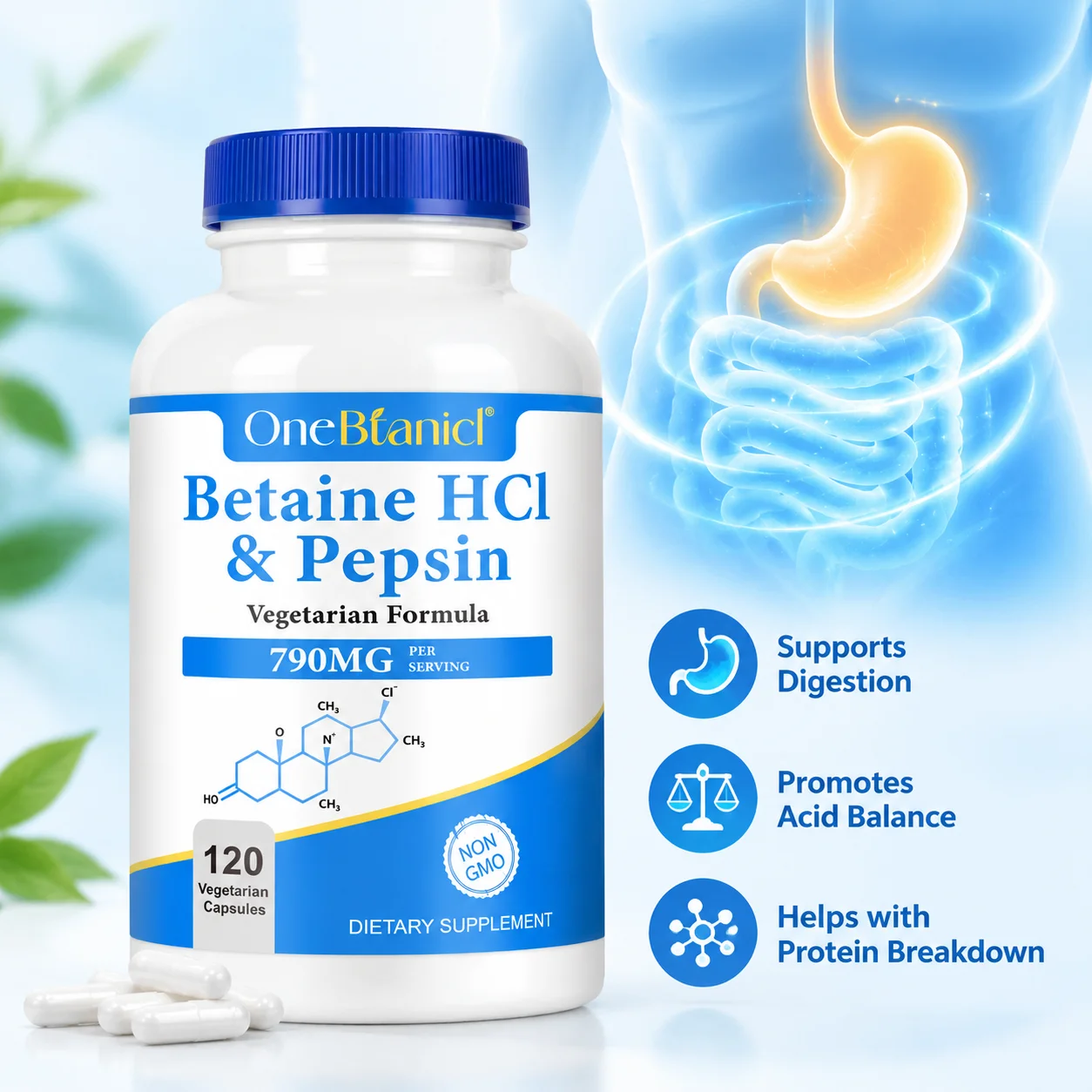 Betaine HCl & Pepsin Vegetarian Capsules for Protein Breakdown and Acid Balance Promote Digestion Non-GMO Vegan Formula 120 Pcs
