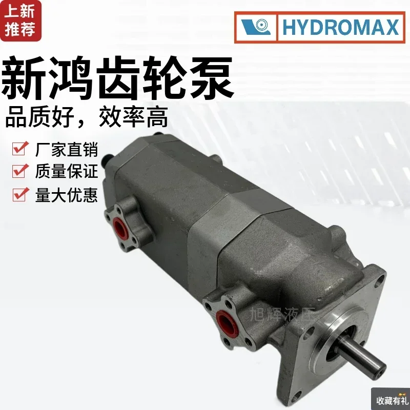 Gear Pump HGP-22A-F4/4R 55 66 77 88 1010 1111 1212R Duplex Hydraulic Pump