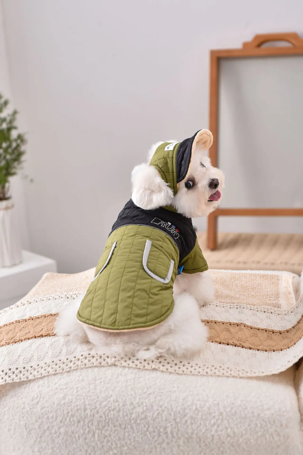 Winddichtes Mantel- und Mützen-Set für französische Bulldogge, Hundekleidung, Sweatshirt, Haustier-Outdoor-Outfit, Jacke, XS, 4XL, Katze, Chihuahua, Möpse – Detail 10