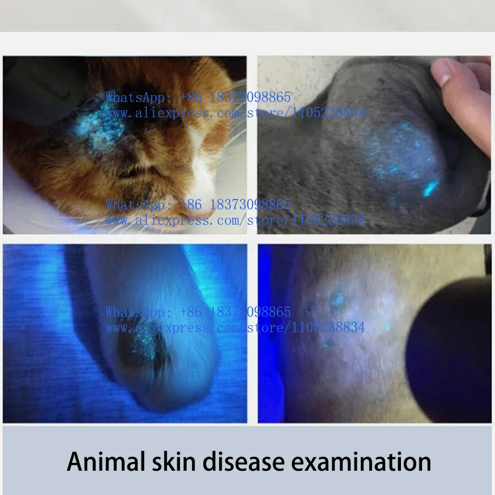 TW-80 Wood Light Pet Universal Detector Rapid Screening of Fungal Mites Portable Skin Diagnostic Tool
