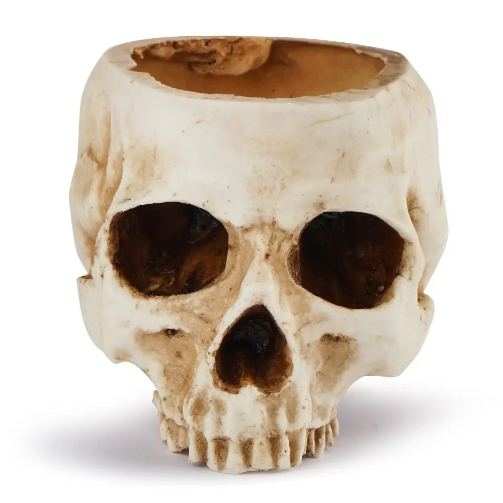 Resin Succulent Container For Home Decor Flower Desk Decorations Sugar Fake Skull Candy Bowl Skull Planter Skull Flower Pot