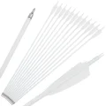 12-Spine500 White