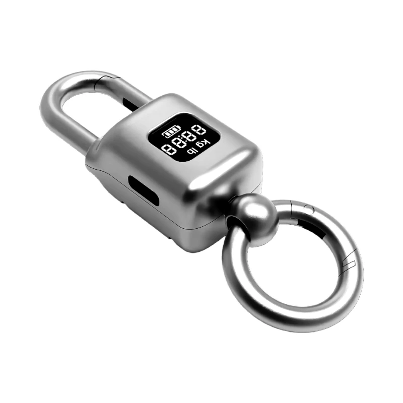 E1PB Miniature Keychain Electronic Scale 25kg Weighting Tool LCD Screen Kitchen Use