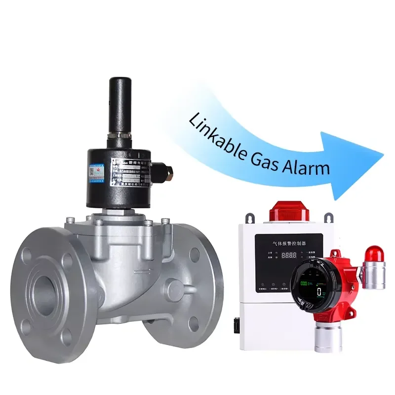 Detalle 4 de Electroválvula XXT Industrial NO Threaded LPG Emergency Shut-off Valve NC Flange Natural Solenoid Valve for Industrial Boiler Pipeline Gas y combustible