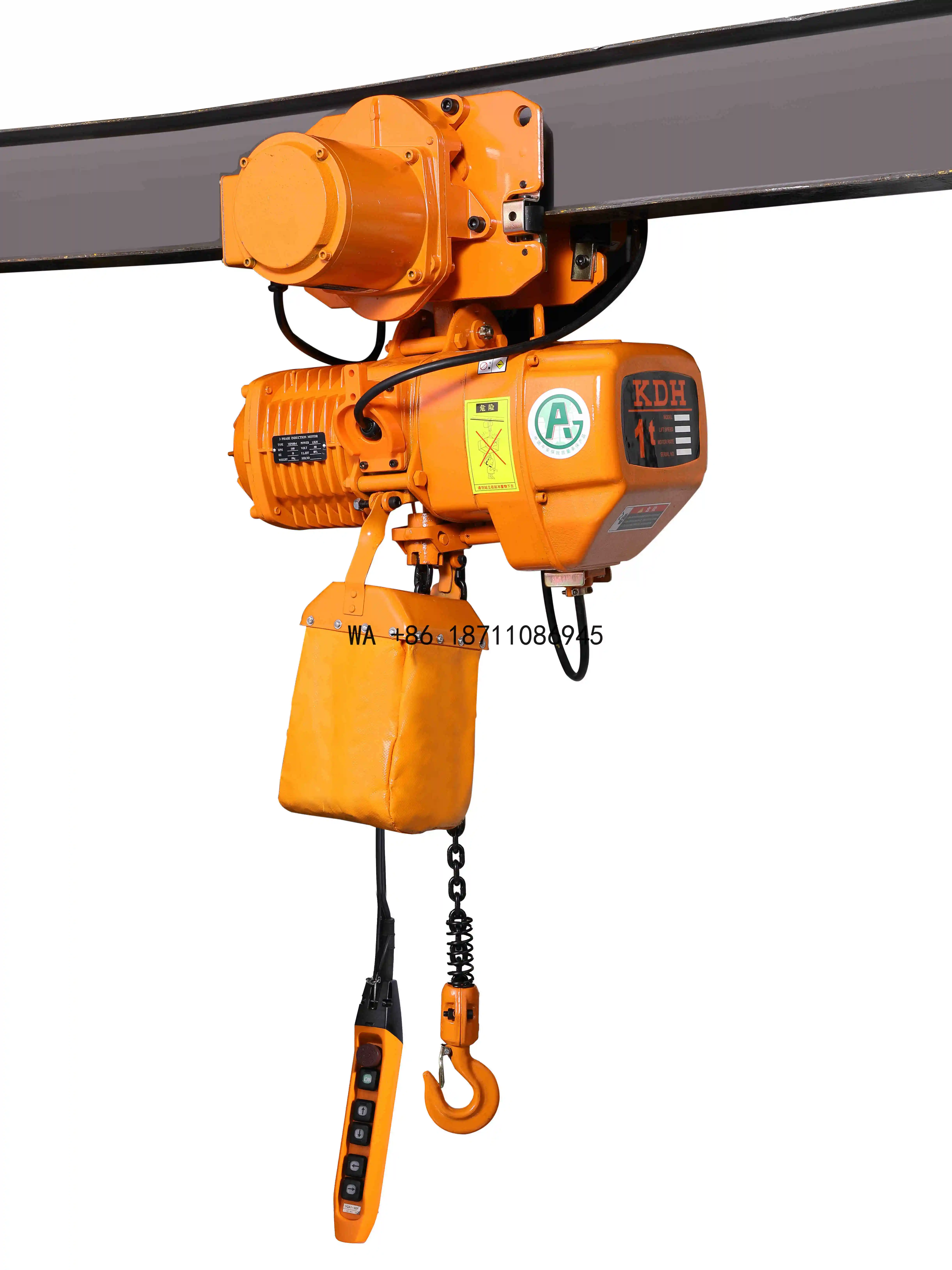 Custom 1 Ton Running Electric Chain Block Hoist Crane with Trolley