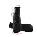 A2