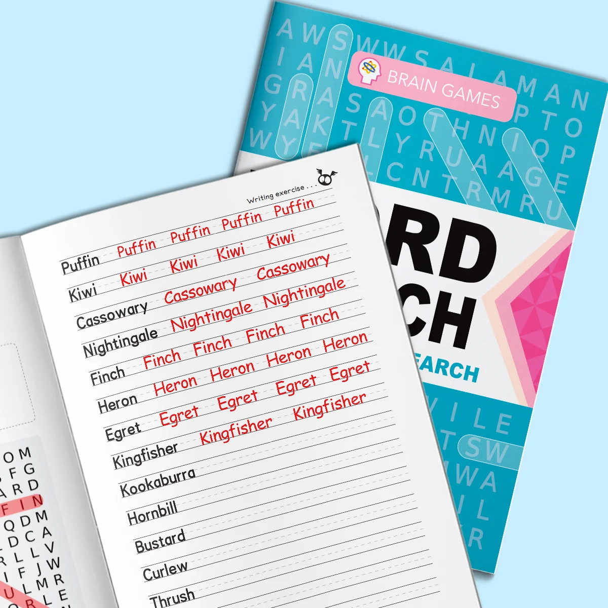 Word Search and Spelling Practice for Kids, Fun Sight Word Hunts with Write-and-Repeat Activities