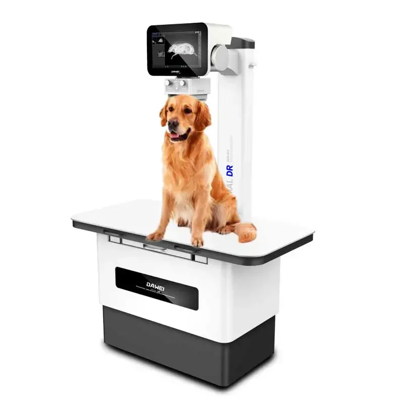 DAWEI Affordable Pet Xrays Veterinary Digital Radiography x Ray Machine