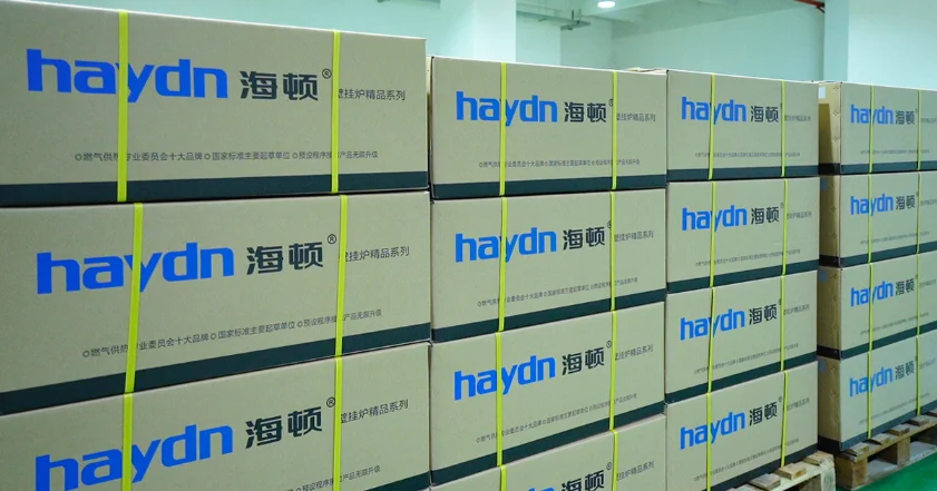 Condenserende gasboilerketel - afgedichte verbrandingskamersysteem (hoog rendement, centrale verwarming, compact ontwerp)