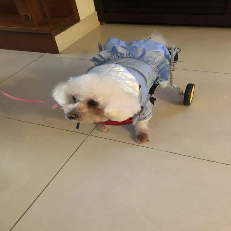 

Dog Wheelchair Hind Limb Paralysis Pet Scooter Disabled Dog Rear Leg Assistance