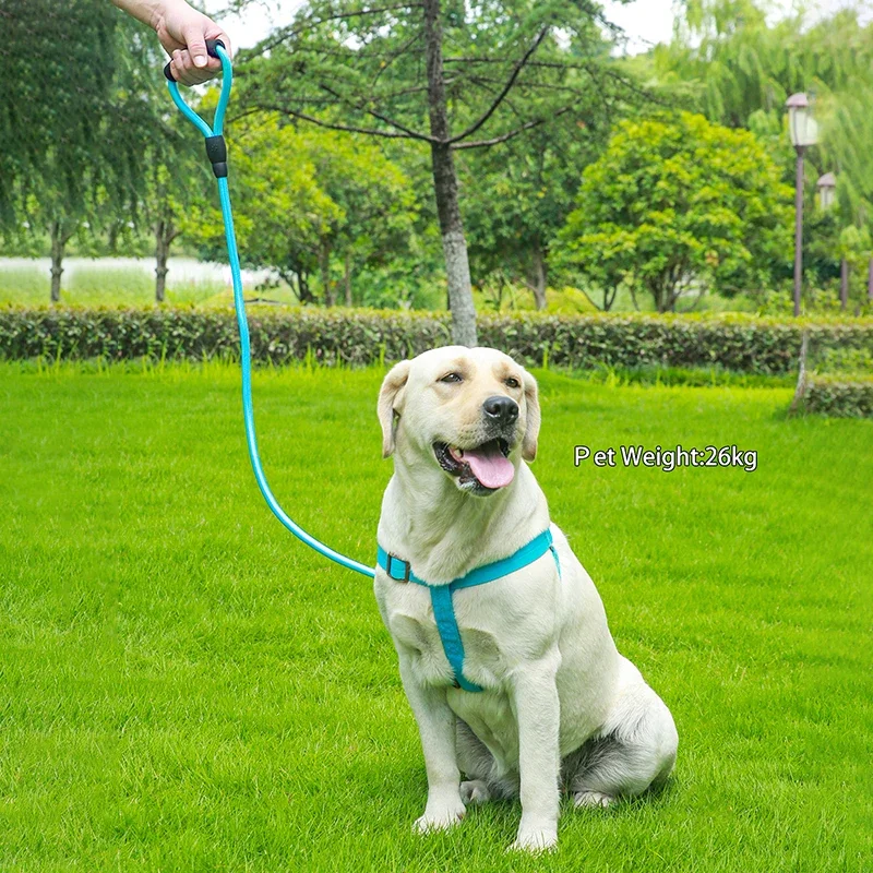 1 Set Dog Y Harness Leash for Small Medium Dog Leash Breathable Dog Harness for Puppy Nylon Durable Pet Harness for Pitbull Bull