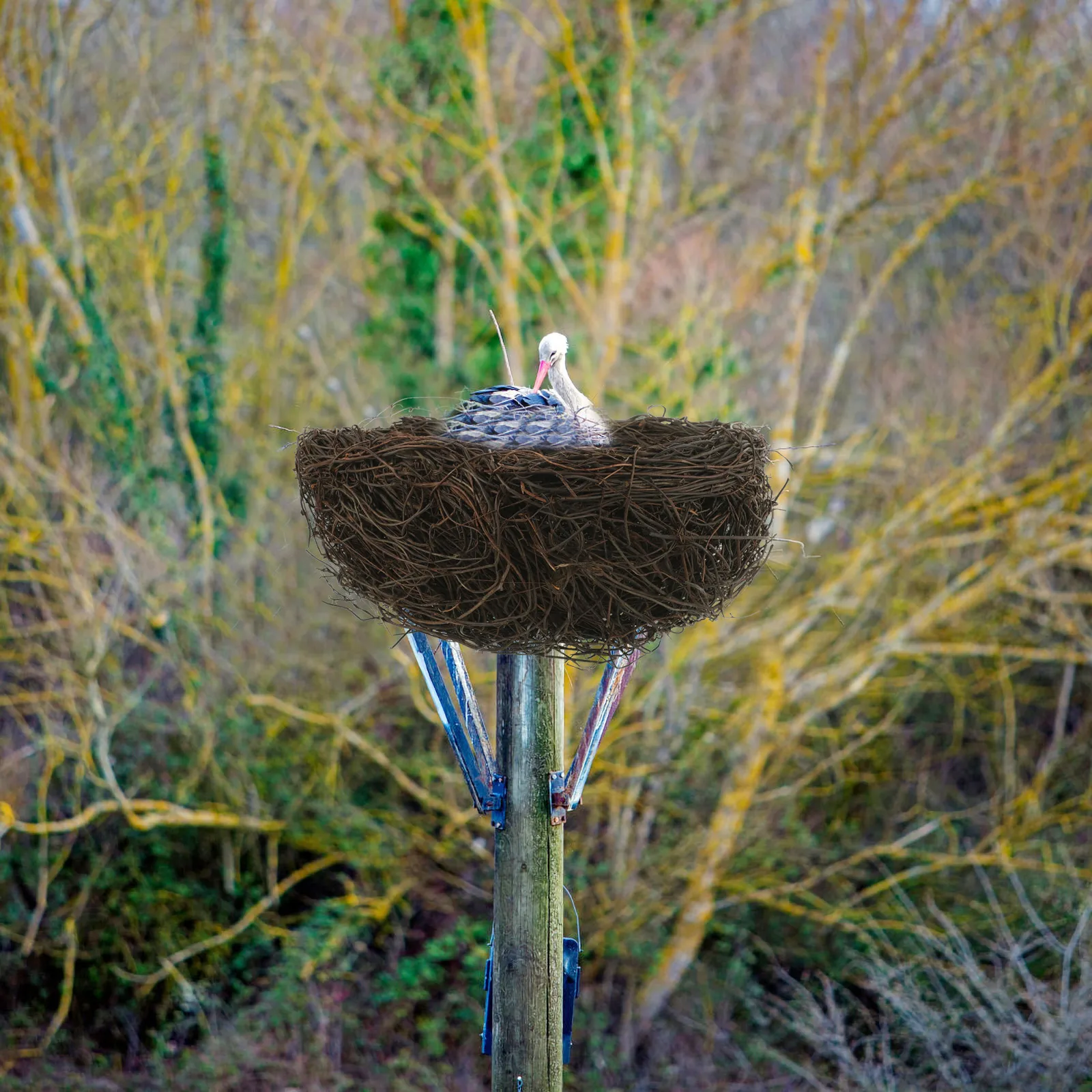 

Rattan Bird Nest Decoration Country Craft Nests Small Birds Outdoor Ornaments