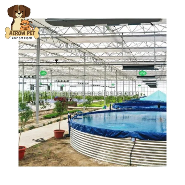 AIROW Customized Aquaponics Fish Farms Tanks Greenhouse Hydroponics Aquaponics Growing System With Competitive Price