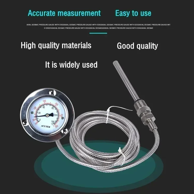 

WTZ-63 Axial Stainless Steel Pressure Thermometer with Edge, Line Length 3m, Thread 1/2, Probe 10*100mm. C