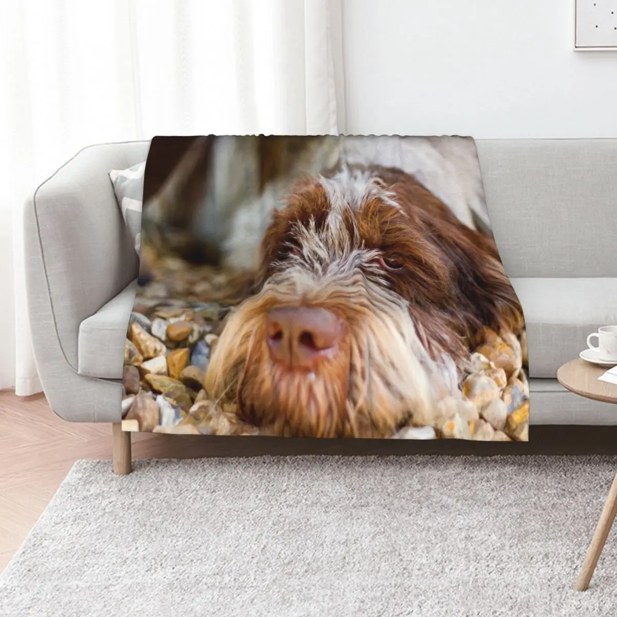 Lying down Spinone Throw Blanket Plaid Soft Big Single bed plaid Weighted Sofa Throw Blankets