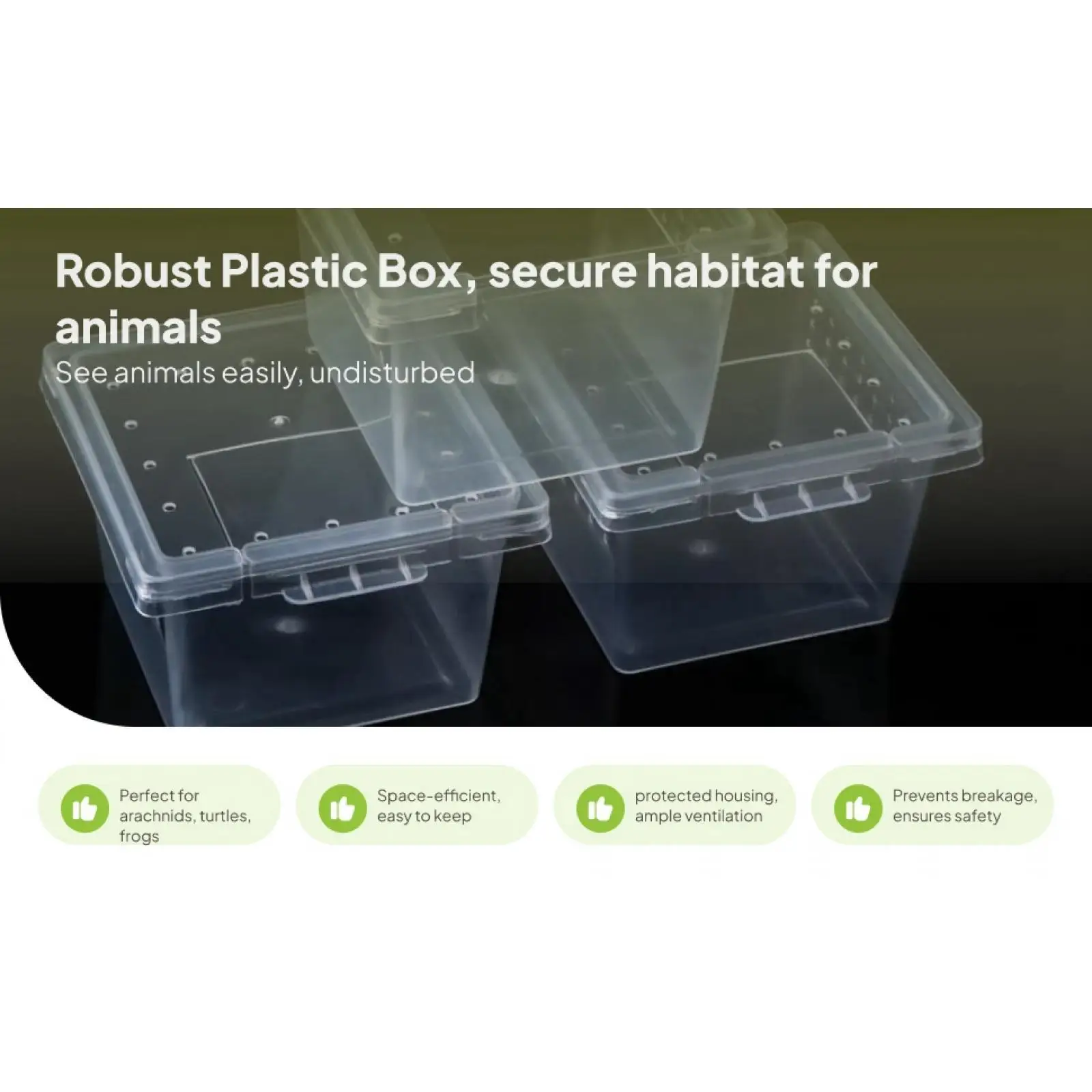 Modern Reptile Feeding Box Air Hole Rearing Box for Frogs Turtles Corn Snakes Easy Carry
