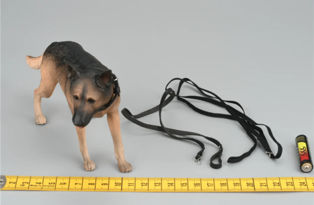 FS 73042 1/6 Scale Soldier Dog Model for12'' Female