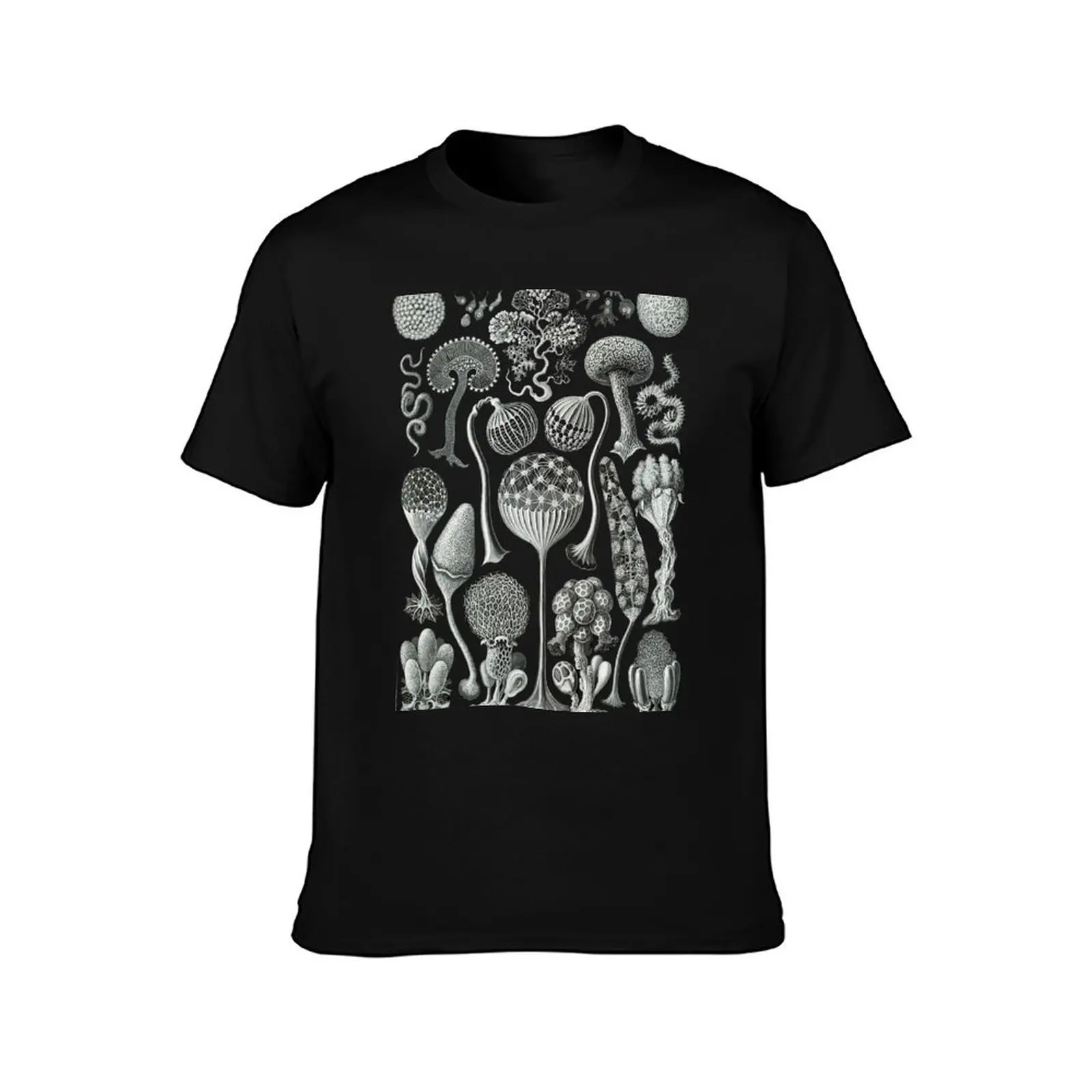 Once Upon a Slime Mold T-Shirt Stretch Fabric Comfort T-Shirt