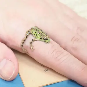 Fashion Green Frog Anillos abiertos para mujeres Metal Metal lindo animal anillo de dedos ajustable joyería de fiesta regalos para mujeres 10 mejores joyas de rana de ventas - №6