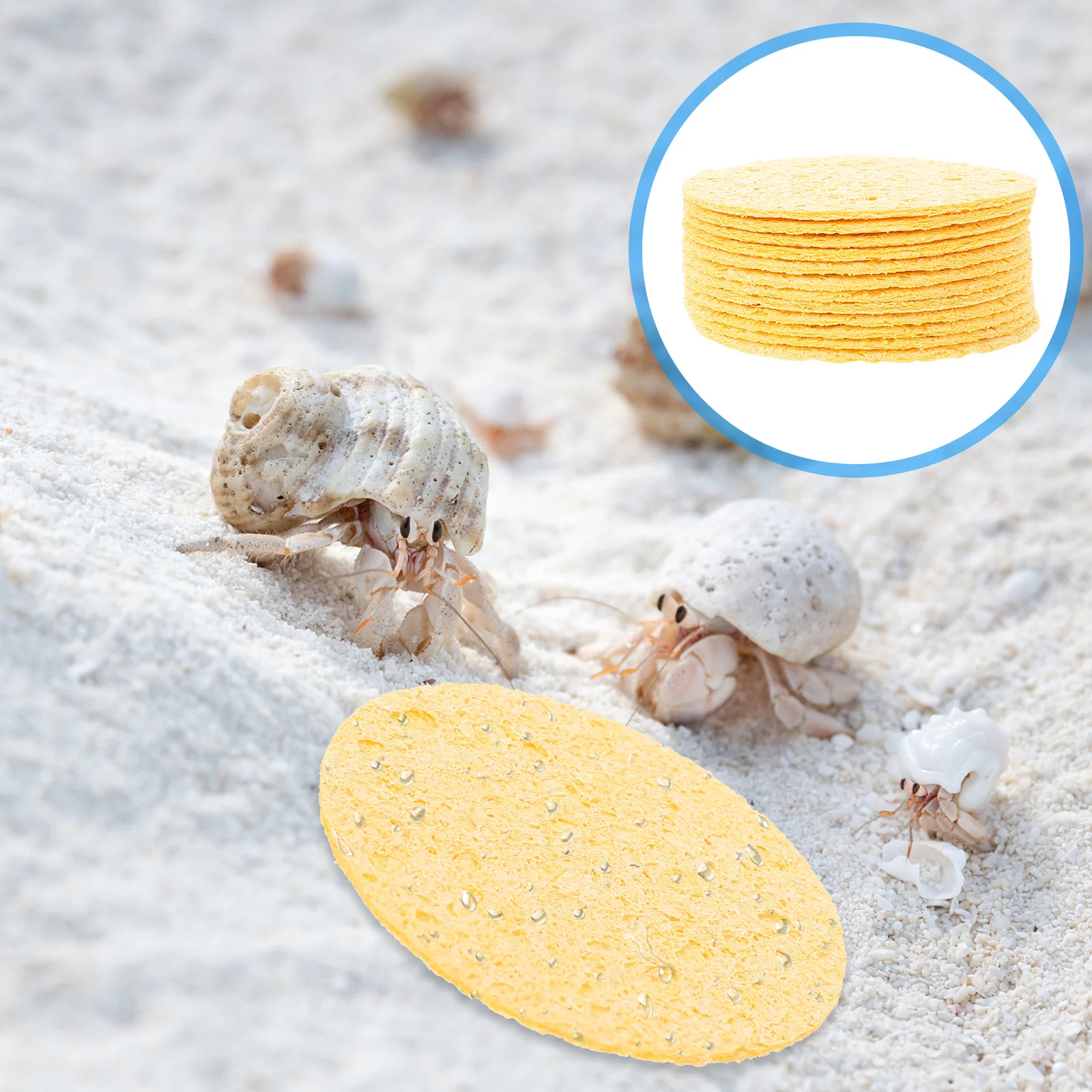 

12Pcs Hermit Crab Sponges Humidity Crab Tank Sponges Drinking Sponge Cleaning Supplies Safe Moisture Sponge Supplies
