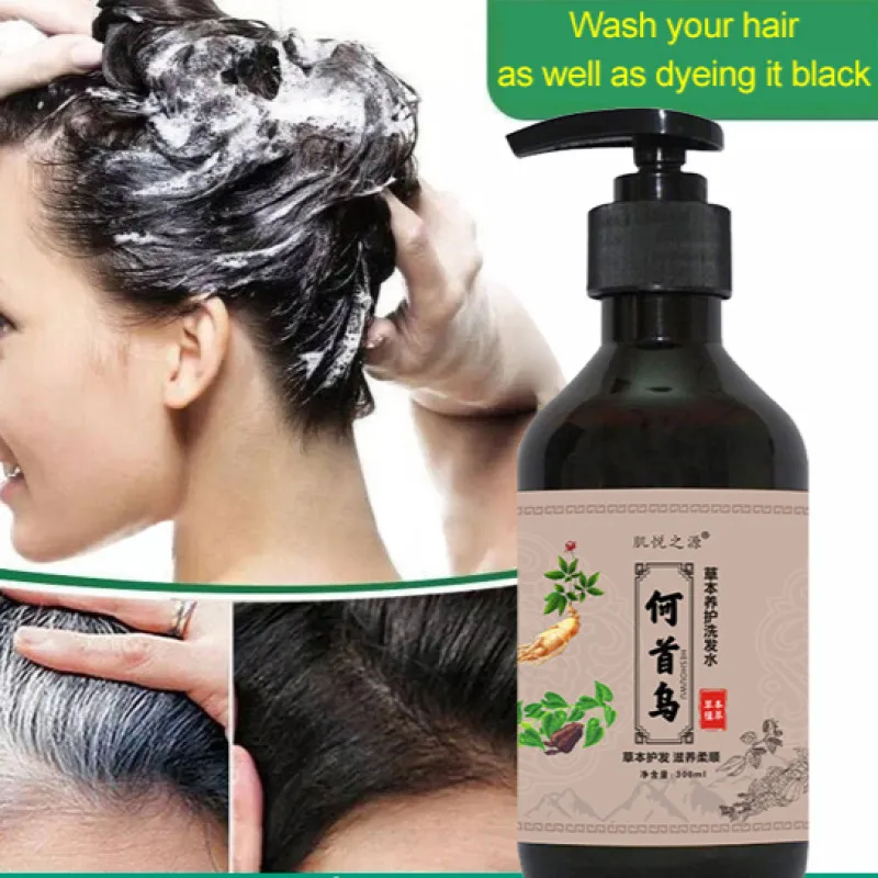 Natural plant extract shampoo Polygonum Multiflorum black hair herbal shampoo Anti gray hair