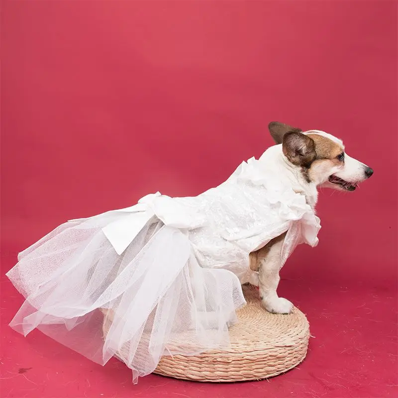 Dog Wedding Dresses Medium Large Corgi Shiba Inu Golden Retriever Samoyed Labrador Photography Portrait New Dog Princess Dresses