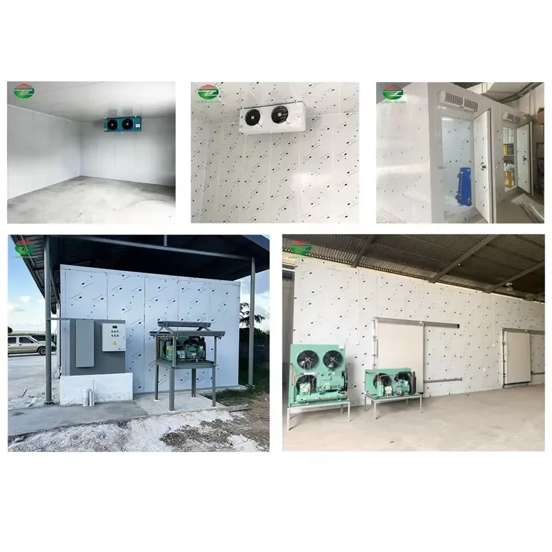 Factory Direct Mini Mobile Freezer 220V Engine Vehicle Refrigerator for Farm Food Shop & Hotel Cold Room Storage