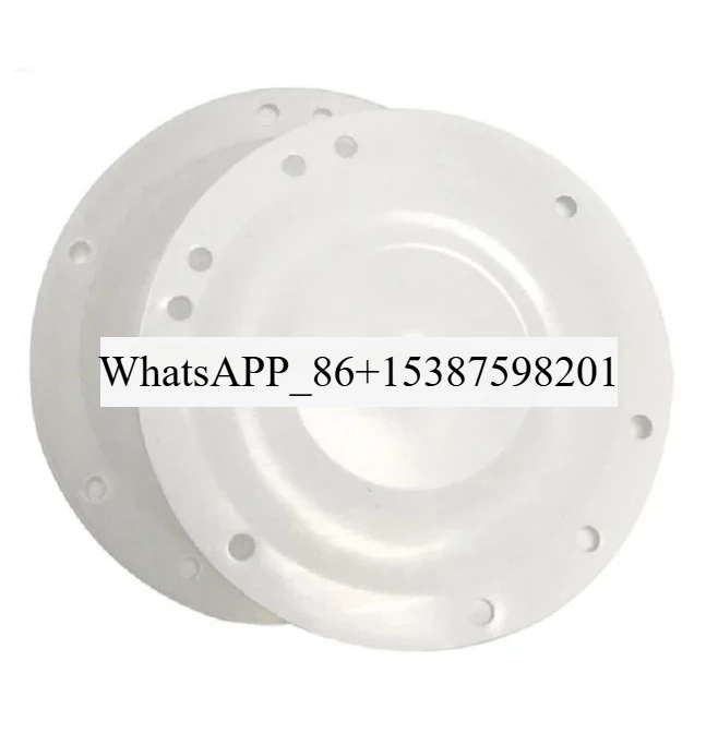 Bc Ptfe Diaphragm F…