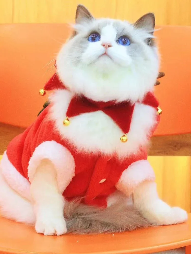 

Y Y Dog Scarf Christmas Eve Christmas Scarf Bell Decoration