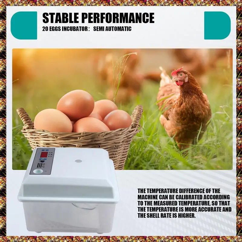 

BTCL US Plug 20Pcs Egg Incubator Set For Small Scale Farming - Semi Automatic Chicken, Duck, Bird Egg Brooder