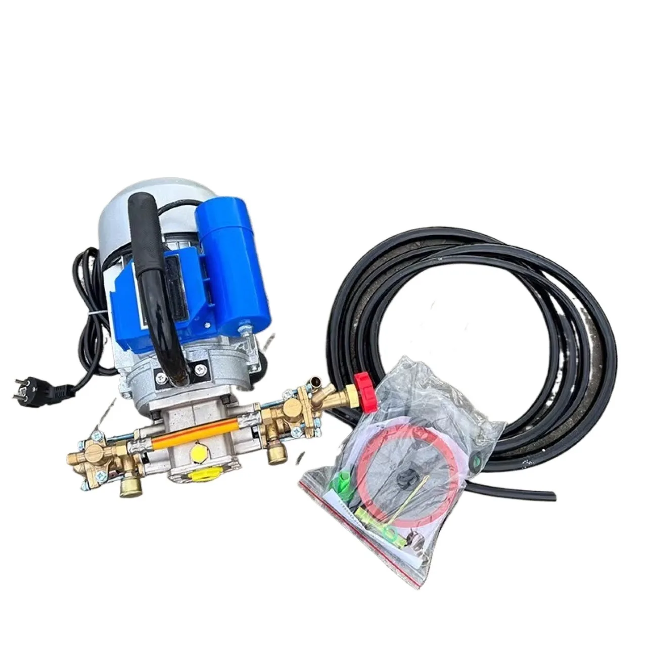 Electric Sprayer Household Four-stroke Dual Cylinder Spraying Pump Agricultural Portable Pesticide Spraying Machine 220V 1100W