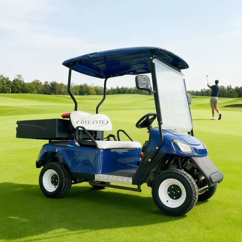 2025 نموذج جديد نمط 2 مقعد حافلة لمشاهدة معالم المدينة نادي عربة الغولف الكهربائية عربات التي تجرها الدواب عربة الصيد للبالغين مع صندوق البضائع #2