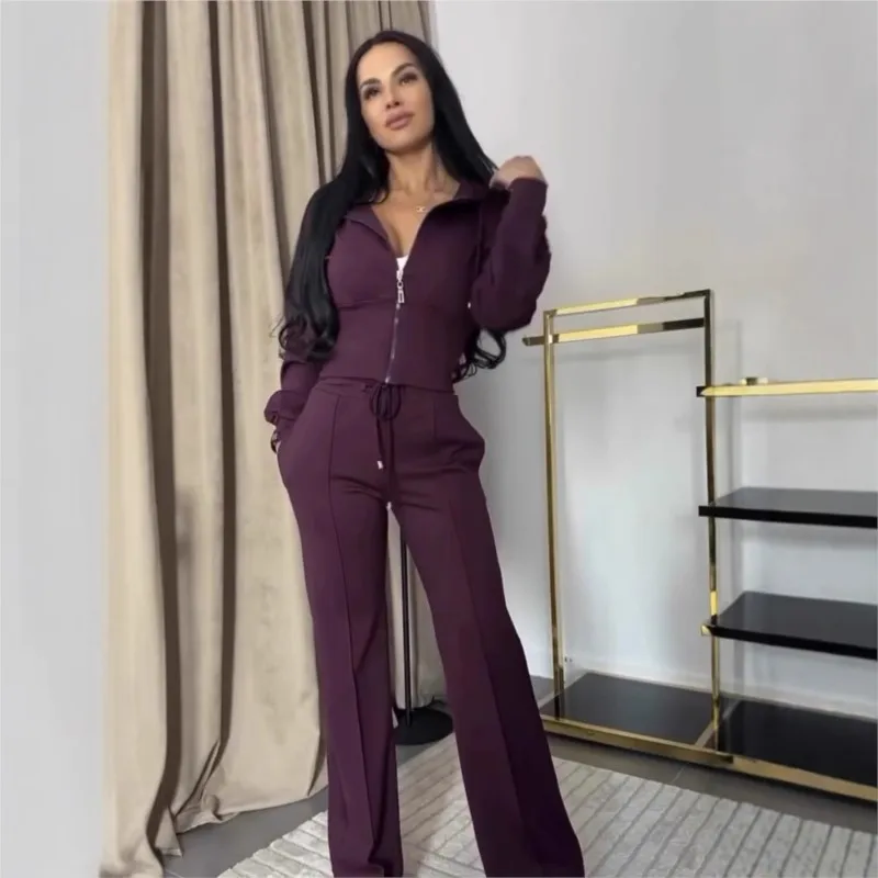 Spring Autumn Short Zipper Hooded Tops Women\'s Suit Solid Color Fashion Slim Simple Elegant Female Sweatpants 2 Piece Set 2025